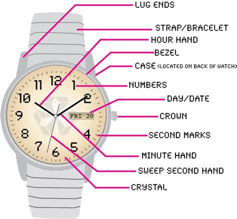 18 Parts of a Watch and a Watch Anatomy Diagram.